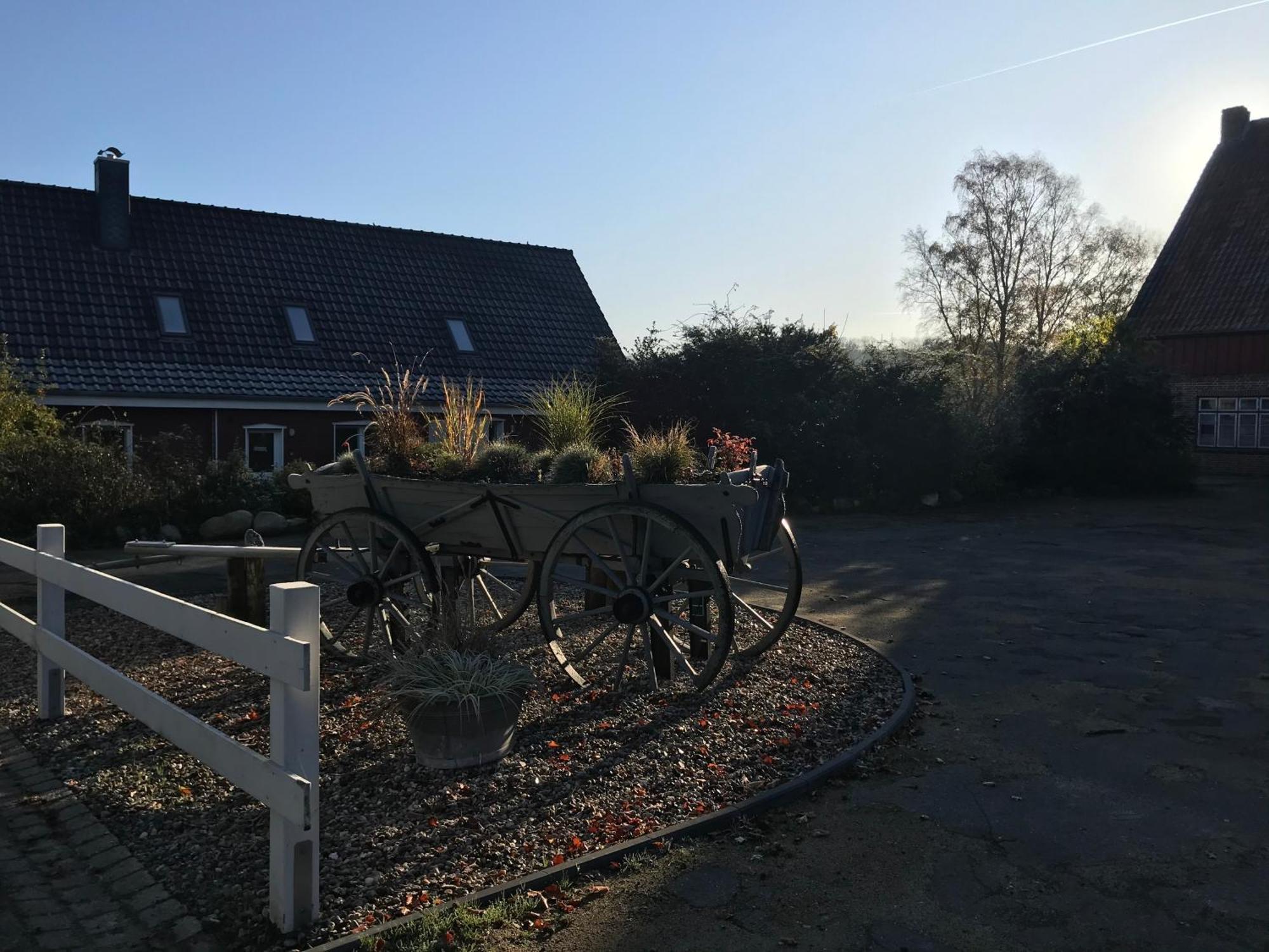 Moderne Ferienwohnung Auf Gut Bennewohld Wl Heide  Kültér fotó